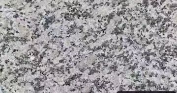 揭阳 芙蓉白（芝麻白大花）火烧面