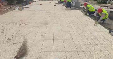 揭阳黄金麻荔枝面地铺案例