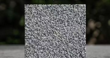 揭阳 芝麻黑荔枝面