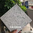 揭阳 芝麻白荔枝面干挂