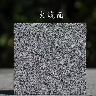 揭阳 芝麻黑火烧面