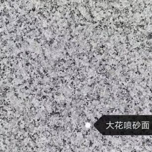 揭阳 芙蓉白（芝麻白大花）荔枝面