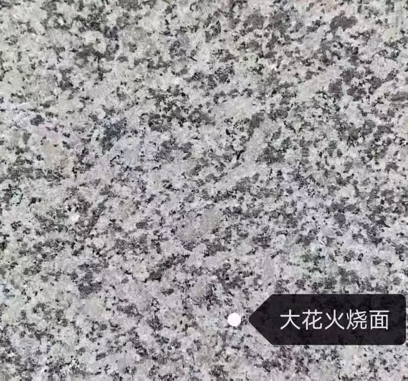揭阳 芙蓉白（芝麻白大花）火烧面