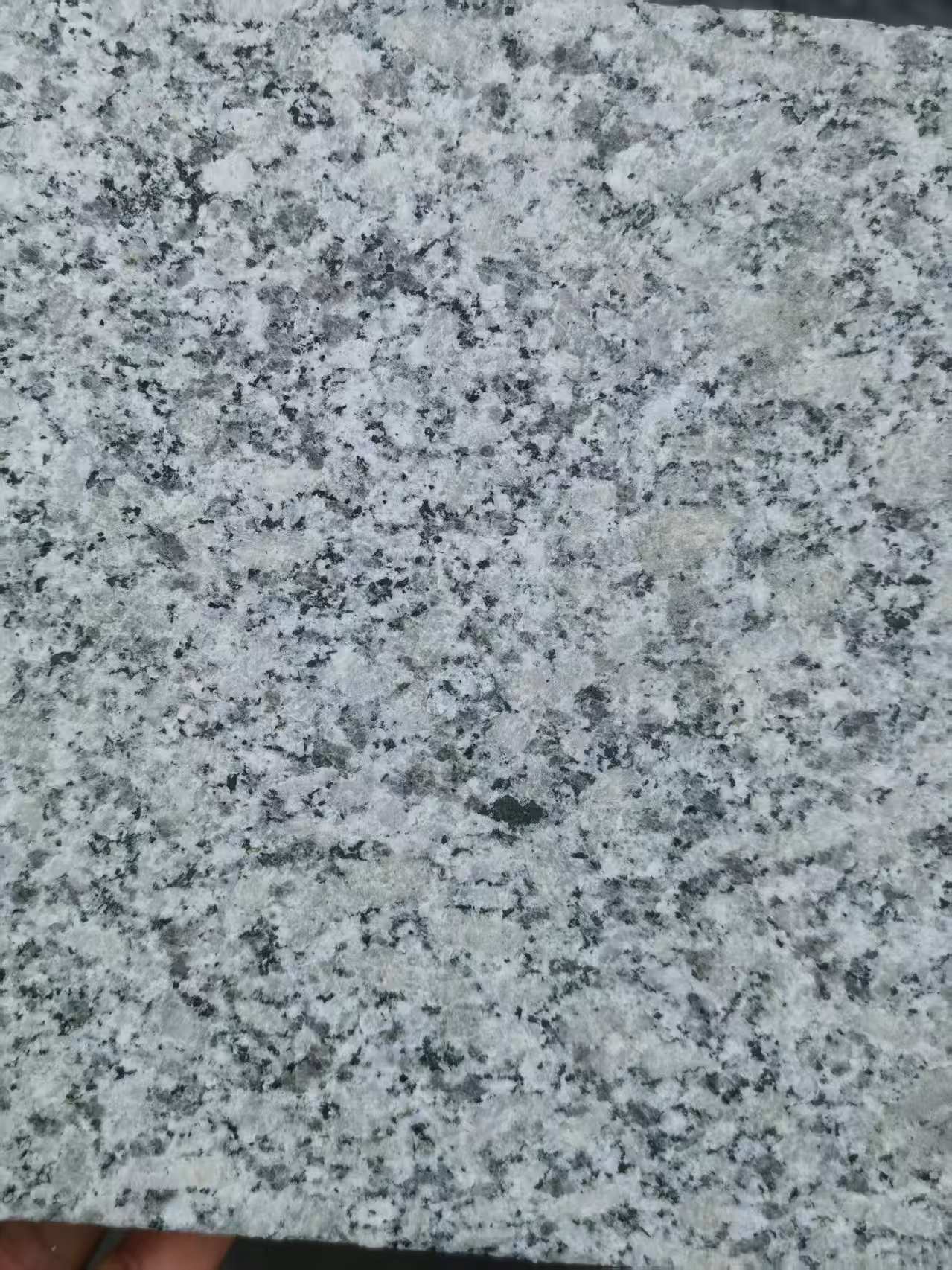 揭阳 芙蓉白火烧面