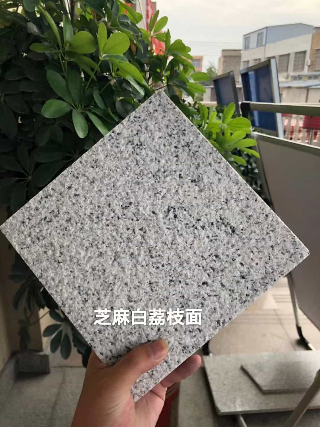 揭阳 芝麻白荔枝面干挂