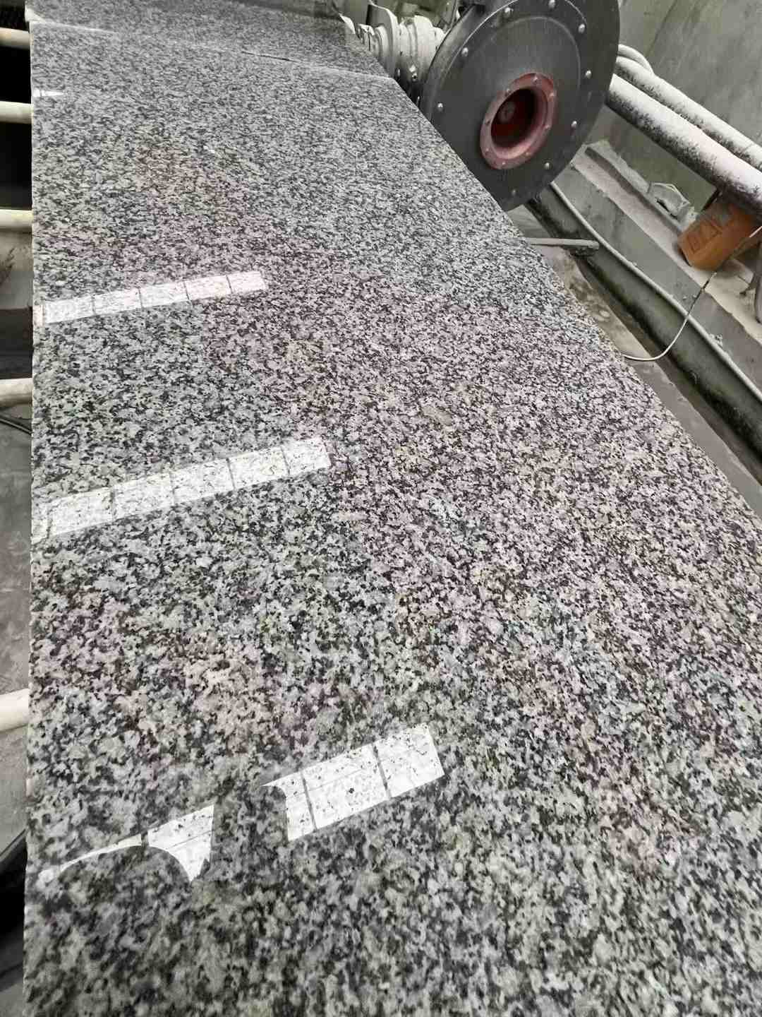 揭阳 芙蓉白光面