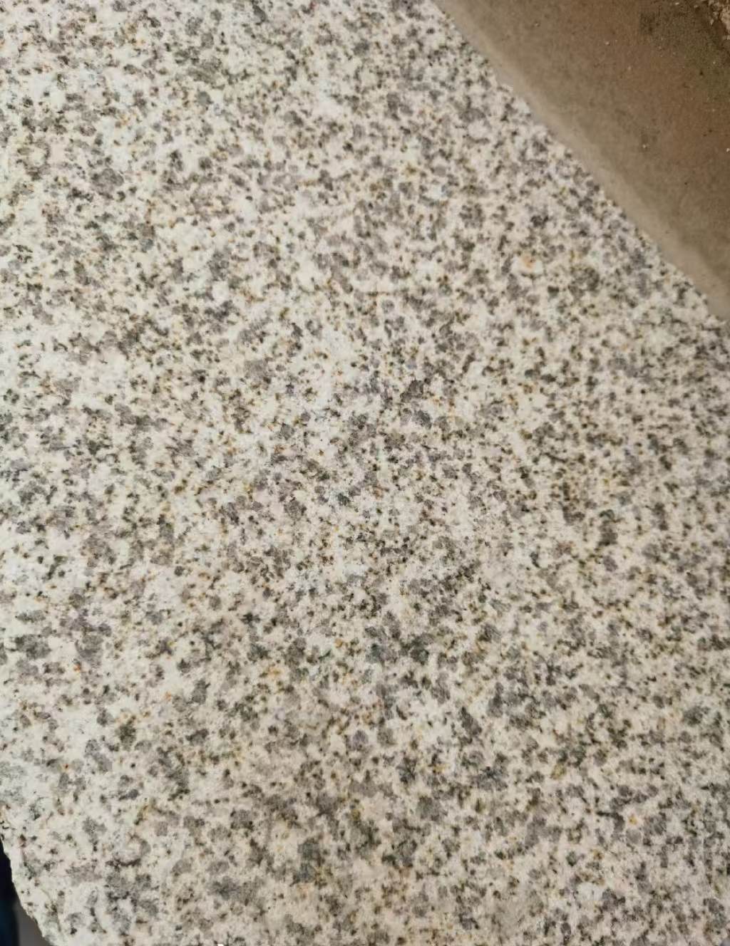 揭阳 黄金麻中黄光面