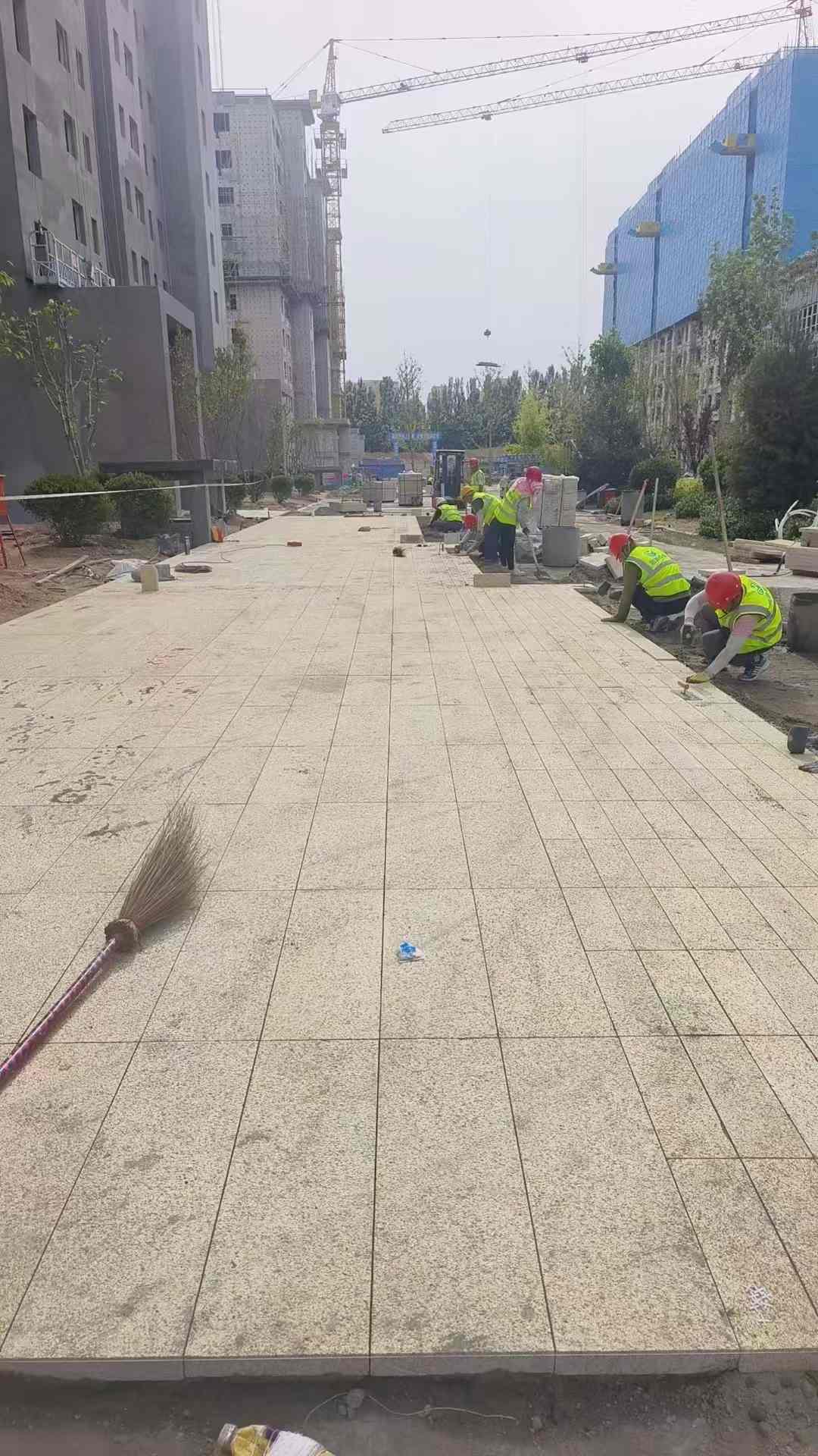 揭阳黄金麻荔枝面地铺案例